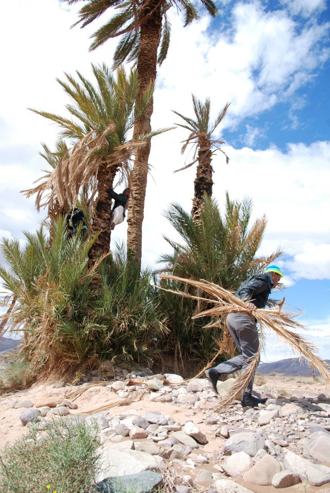 580979_428744227154757_1441099838_n