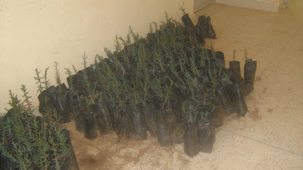 Photo environnement 162