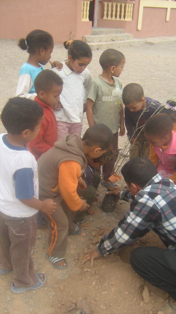 Photo environnement 184