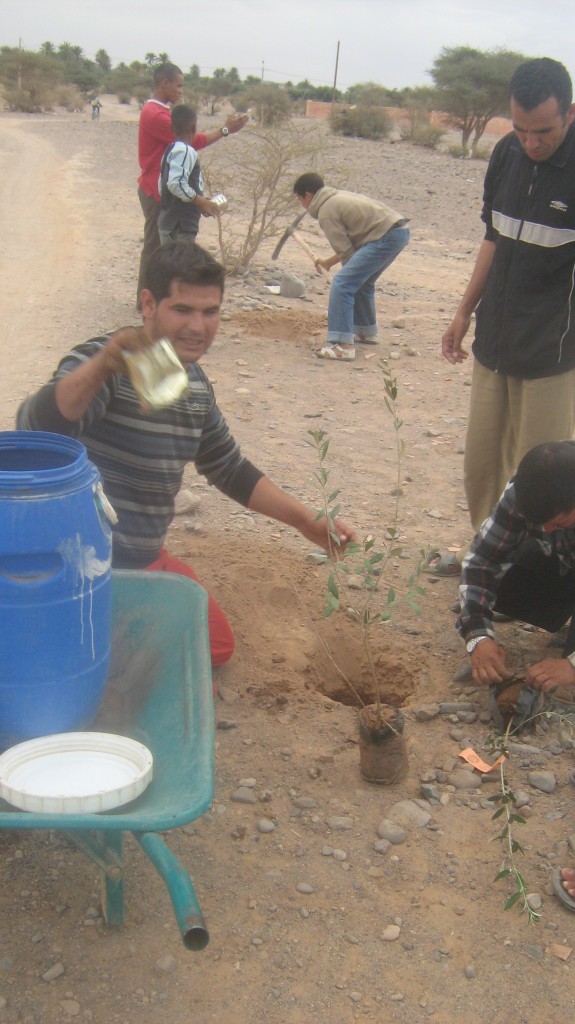 Photo environnement 188