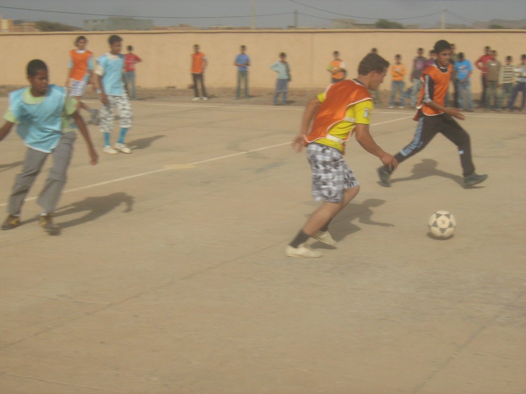 Photo environnement 252